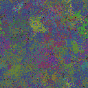 World at epoch 79000