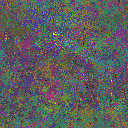 World at epoch 79000