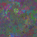 World at epoch 75000