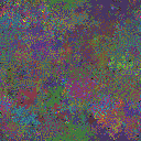 World at epoch 79000