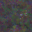 World at epoch 115000