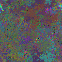 World at epoch 81000