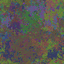 World at epoch 77000