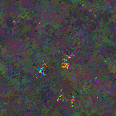 World at epoch 135000