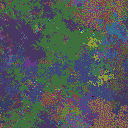 World at epoch 79000
