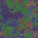 World at epoch 80000