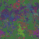 World at epoch 81000