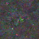 World at epoch 135000