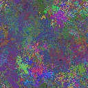 World at epoch 95000