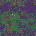 World at epoch 85000