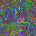 World at epoch 97000