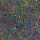 World at epoch 67000