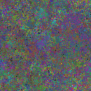 World at epoch 75000