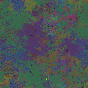 World at epoch 65000