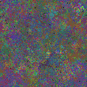World at epoch 79000