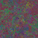 World at epoch 85000