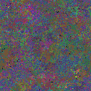 World at epoch 80000