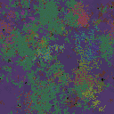 World at epoch 79000