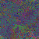 World at epoch 77000