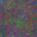 World at epoch 95000