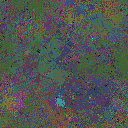 World at epoch 125000