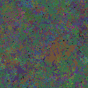 World at epoch 78000