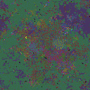 World at epoch 95000