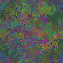 World at epoch 64000