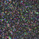 World at epoch 10000
