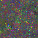 World at epoch 67000