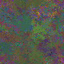 World at epoch 75000
