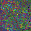 World at epoch 149000