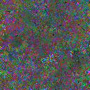 World at epoch 78000