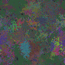 World at epoch 79000