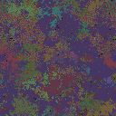 World at epoch 115000