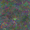 World at epoch 79000