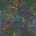 World at epoch 81000