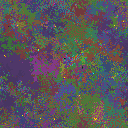 World at epoch 125000