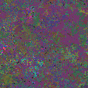World at epoch 137000