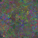 World at epoch 85000