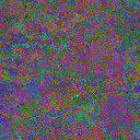 World at epoch 125000