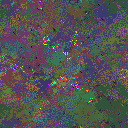 World at epoch 90000