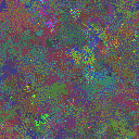 World at epoch 64000