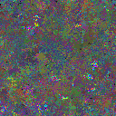World at epoch 95000