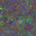 World at epoch 96000