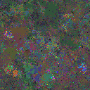 World at epoch 61000