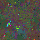 World at epoch 69000