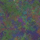 World at epoch 137000