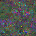 World at epoch 64000