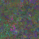World at epoch 66000